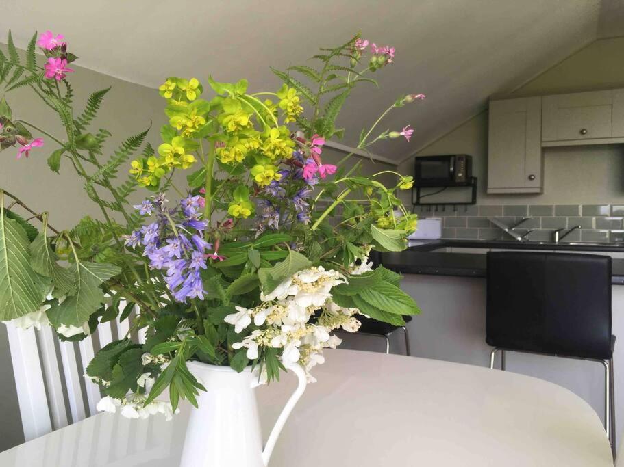 Beautiful Garden Cottage, Close To Llandeilo. Hoel-galed エクステリア 写真