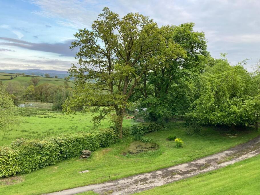 Beautiful Garden Cottage, Close To Llandeilo. Hoel-galed エクステリア 写真